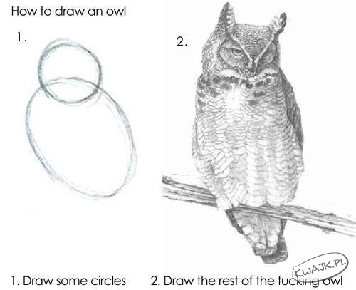 Jak narysować sowę?