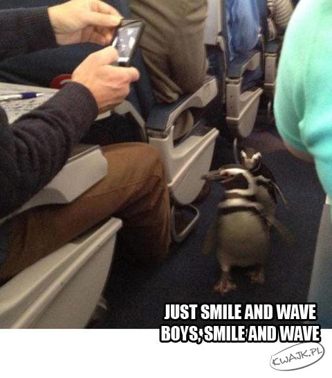 Just smile and wave...