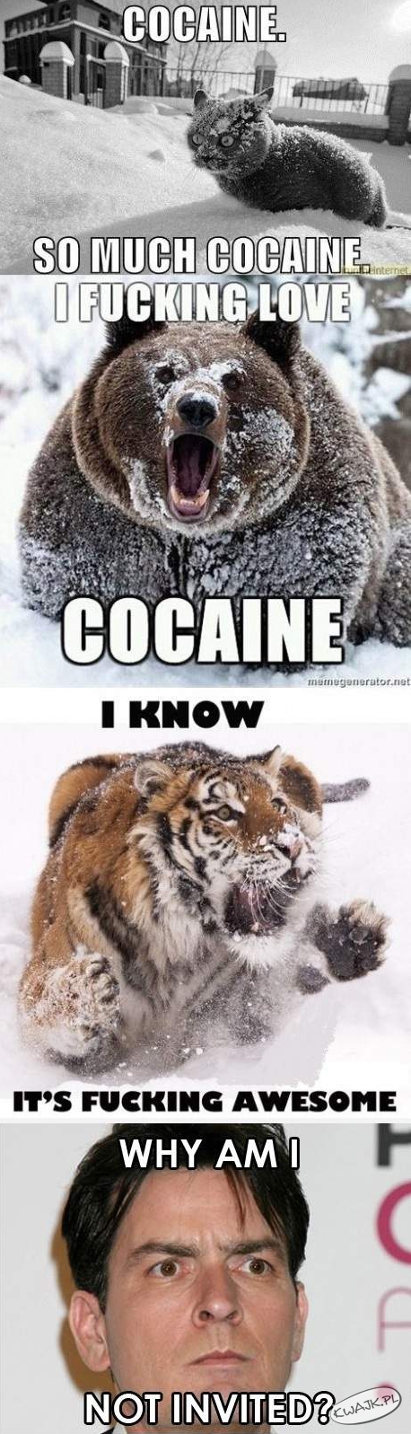 Kokaina