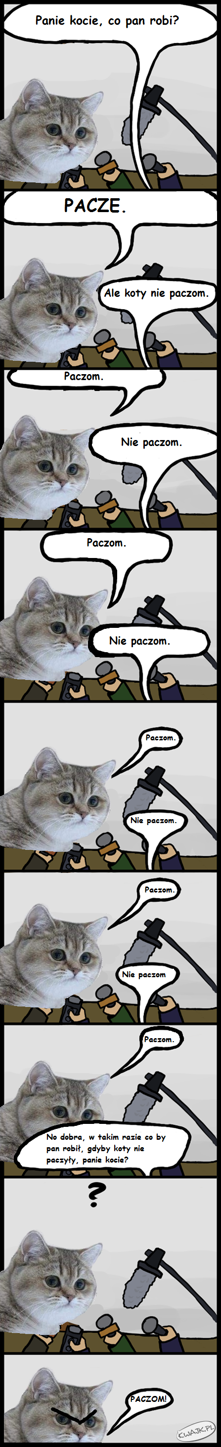 Koty paczom!