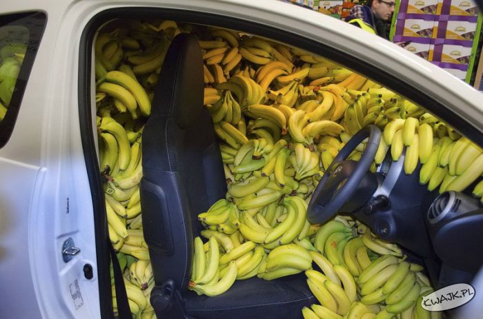 Policja zatrzymała przemytnika bananów...