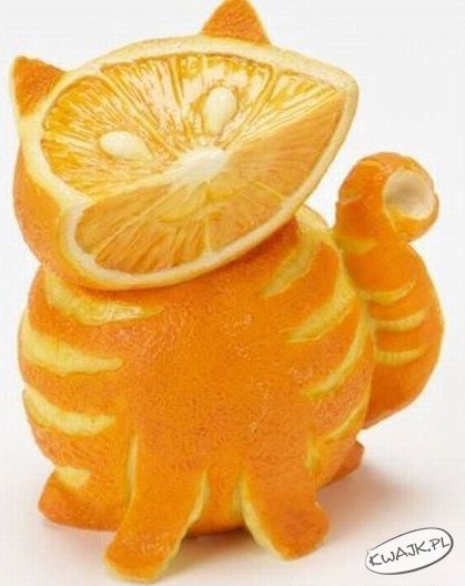 Pomarańczowy kot