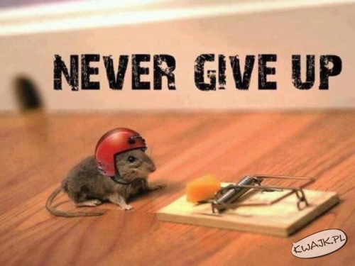 Nigdy się nie poddawaj!