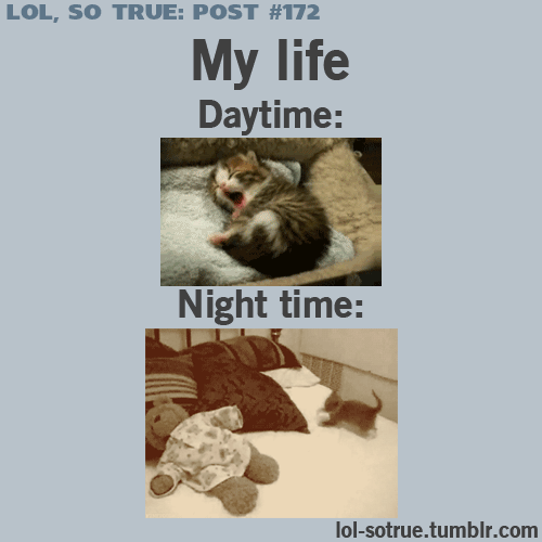 Moje życie w dzień i w nocy