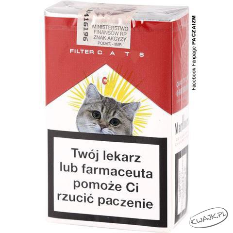 Rzucić paczenie