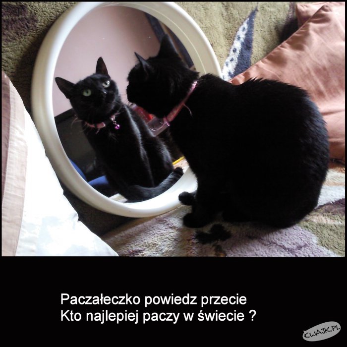 Paczałeczko