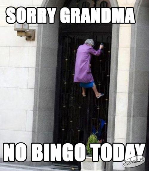 Sory babciu, Bingo odwołane