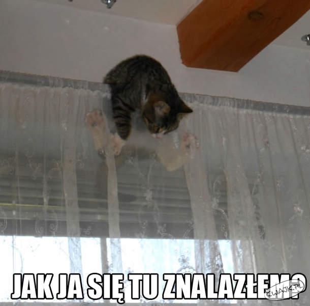 Nie ma rzeczy niemożliwych
