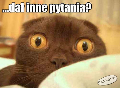 Inne pytania!?