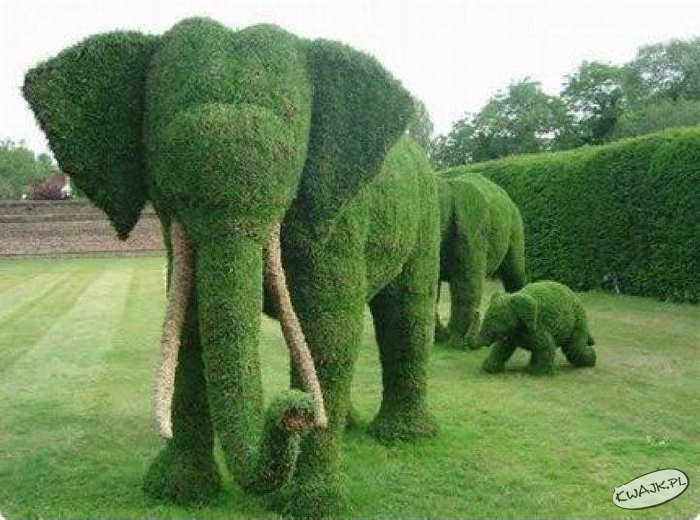 Roślinne rzeźby
