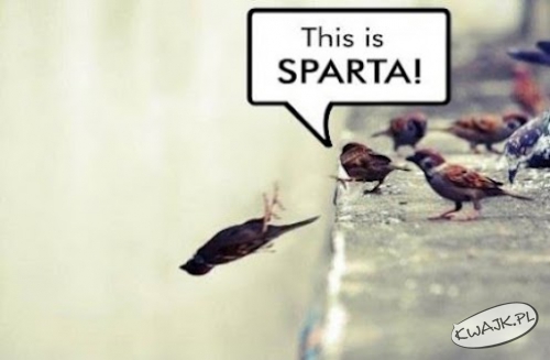 This is Sparta!